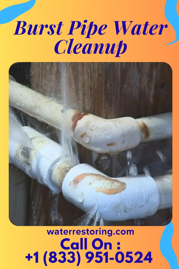 Burst Pipe Water Cleanup in Mount Vernon, WA