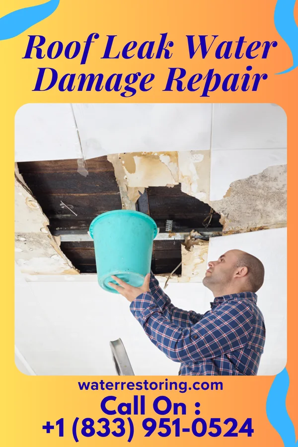 Roof Leak Water Damage Repair in Mount Vernon, WA